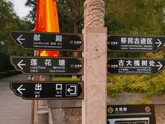 -大槐树寻根祭祖园