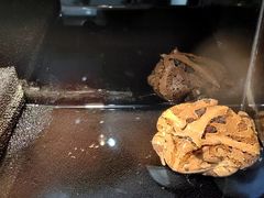 -酷以爬仙阁实体爬宠店·守宫·蜥蜴·专业繁育