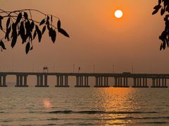 -宝安西湾红树林湿地公园