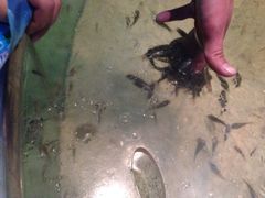 iphone_upload_pic-台州海洋世界