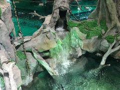 -福州罗源湾海洋世界旅游区