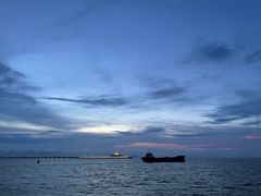 -招商蛇口邮轮母港(观光客运)