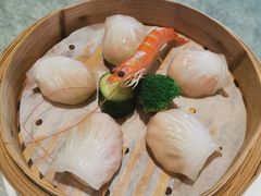 和苑招牌虾饺-和苑·精致粤菜(珠江新城店)