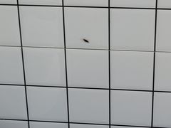 -无名氏面馆(邮电路店)