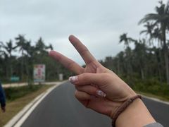 -东郊椰林