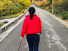 -北京鹫峰国家森林公园