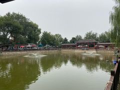 -尚庄度假村·庭台树下·户外烧烤·团建CS·轰趴营地(上庄水库店)