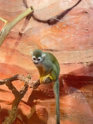 -Zoolung Zoolung动物主题公园(海信广场店)