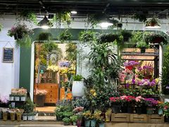 -溪岸路花鸟市场