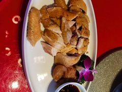 -碧丽宫大酒店(召稼楼店)