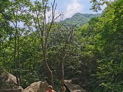 -大岭沟猕猴桃谷风景区
