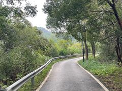 -青龙山国家森林公园