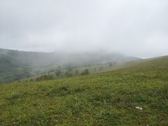 -塞罕坝国家级自然保护区