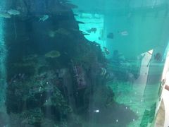 -鸿通城购物中心