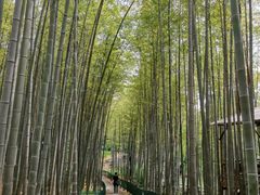 -宝岩生态观光园