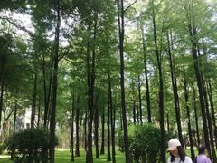 -晓港公园