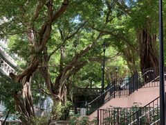 -香港佐治五世纪念公园