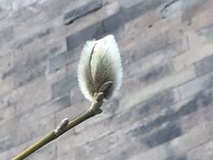 -东华门大街小区