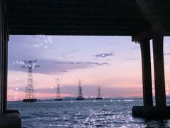 -宝安西湾红树林湿地公园