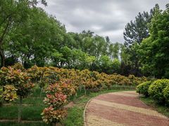 -北坞公园