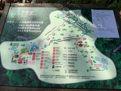 -野象谷景区