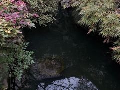 -胡雪岩故居