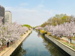 -元大都城垣遗址公园