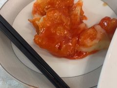 -丁老爷子苏香圆