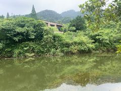 -缙云山景区