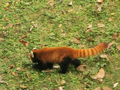 -西安秦岭野生动物园