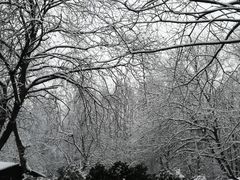-杭州西湖风景名胜区-满觉陇四眼井