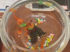 -顺味凤城·顺德菜专门店(九六广场店)