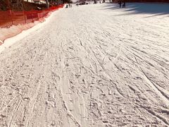 -蓟洲国际滑雪场
