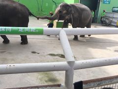 -大连森林动物园