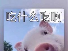 -楚畹园