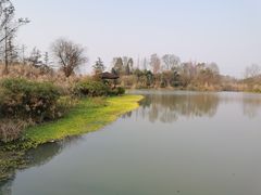 -桤木河湿地公园