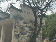 -杨家堂村