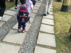 -光明小镇欢乐田园