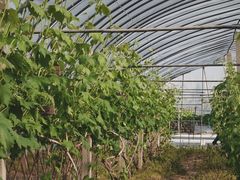 -美家乐农庄·露营·团建(大治路店)