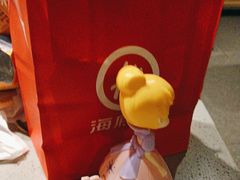 -海底捞火锅(莘松路店)