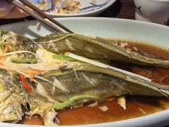 -前海沿·青岛菜(五四广场永旺店)