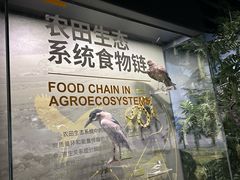 -四川大学博物馆