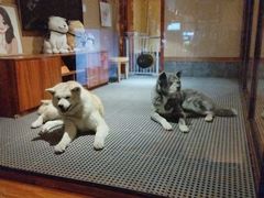 -大江户·温泉洗浴(浑南店)