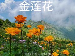 -小五台金河景区