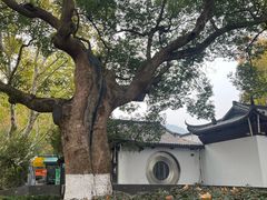 -杭州黄龙洞