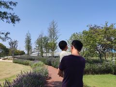 -尚贤河湿地