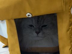 -萌兽医馆·眼科·异宠专科(三里屯店)