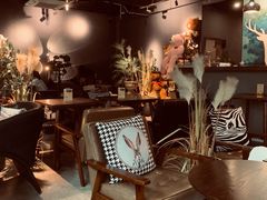 -咖法森林·咖啡  酒吧(天河店)