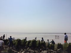 -南汇嘴观海公园