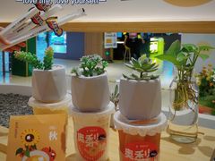 -炖物24章·顺时轻养茶(黄龙店)